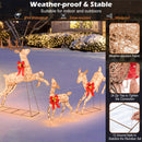 3-Piece Pre-Lit Christmas Deer Family Set