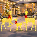 3-Piece Pre-Lit Christmas Deer Family Set