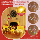 3-Piece Pre-Lit Christmas Deer Family Set