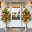 5 FT Tall Artificial Croton Plant with Gradient Leaves and Nursery