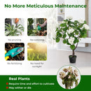 Artificial Hydrangea Tree Fake Floral Plant with 11 White Flowers