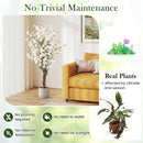Faux Plum Blossom Plant with White Fabric Flower and Solid Wood Trunk