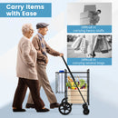 Heavy Duty Folding Utility Shopping Double Cart