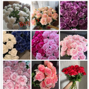 25pcs/Lot New Artificial Flowers Rose Peony Floral Home Decoration Wedding Bridal Bouquet High Quality 9 Colors Christmas Props