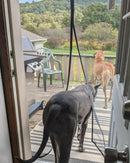 Insect-Proof Magnetic Screen Door – Black Mesh Curtain for Mosquito & Fly Protection Indoors