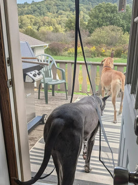 Insect-Proof Magnetic Screen Door – Black Mesh Curtain for Mosquito & Fly Protection Indoors