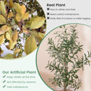 4.5 Feet Tall Artificial Olive Tree Fake Potted Trees with Realistic Fruits-Set of 2