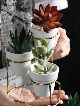 3 in 1 Planter