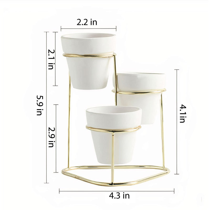 ClaudiaG 3 in 1 Planter