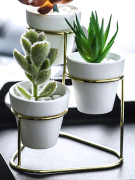 3 in 1 Planter