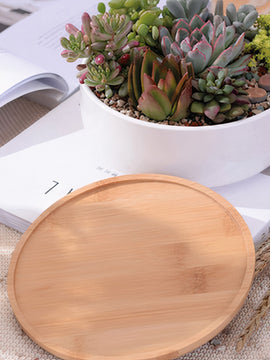 Succulent Planter - Round