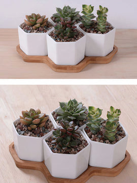 Beehive Planter