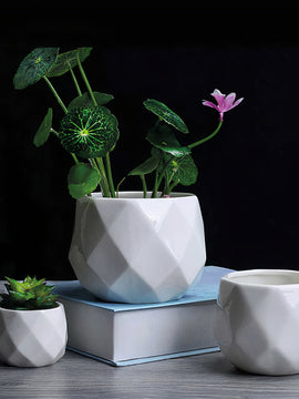 Geo Rounded Trio Set of 3