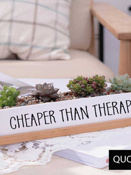 Message in a Planter - 7