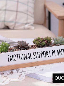 Message in a Planter - 7