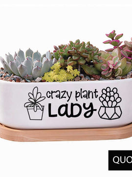 Message in a Planter - Oval 7