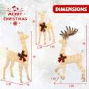 3-Piece Pre-Lit Christmas Deer Family Set
