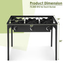225 000-BTU Portable Propane 3 Burner Gas Cooker