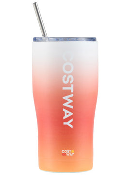Costway Stainless Steel Tumbler with Lid and Metal Straw