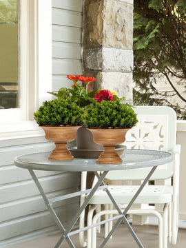 Artificial Boxwood Topiary Trees Pack of 4