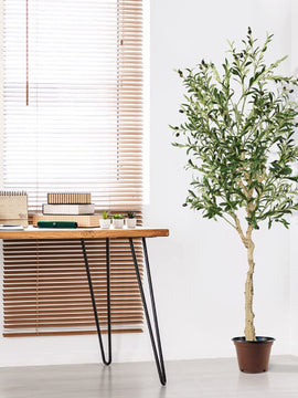 Artificial 6 Feet Olive Tree In Cement Pot 2-Pack