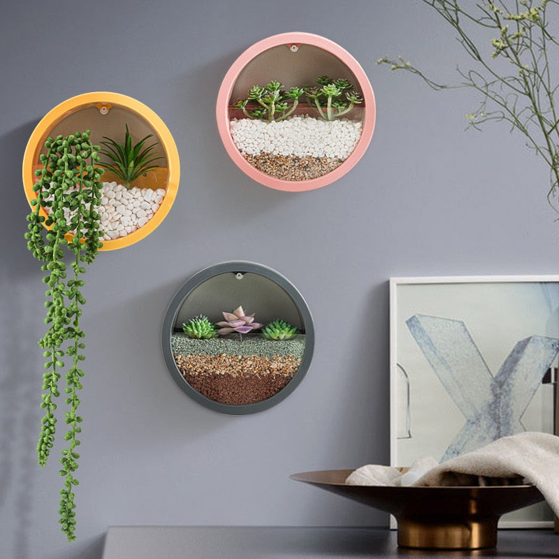 Round Hanging Wall Vase For Succulent Plant Can Be Kept In A Living Room As A Decorative Or A Flower Pot