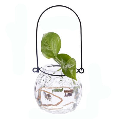 Transparent Hydroponic Plants Glass Vase For Table And Home Decorative