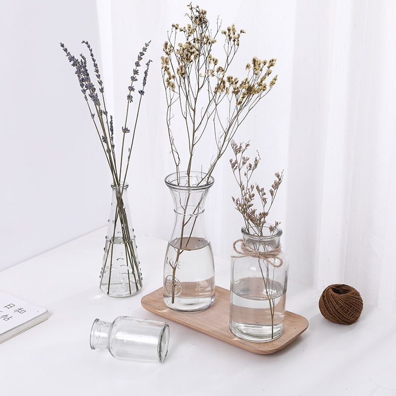 Transparent Hydroponic Plants Glass Vase For Table And Home Decorative