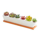 ClaudiaG Succulent Planter-Long