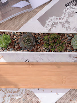 Long Succulent Planter Adds Value To Your Plants On Display