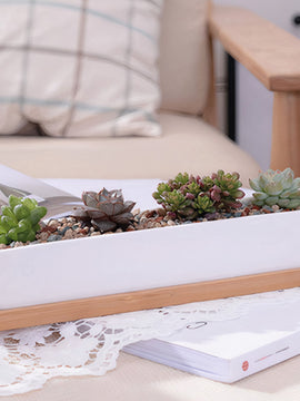 Long Succulent Planter Adds Value To Your Plants On Display