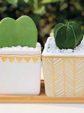 Poetic Rhapsody Planters Set of 2