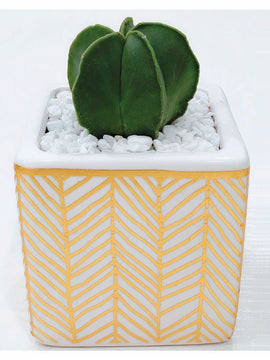 Poetic Rhapsody Planters Set of 2