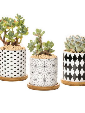 Stunning B&W Planters Set of 3