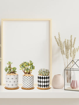 Stunning B&W Planters Set of 3