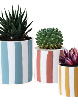 Artistic Playful Planters Set of 3