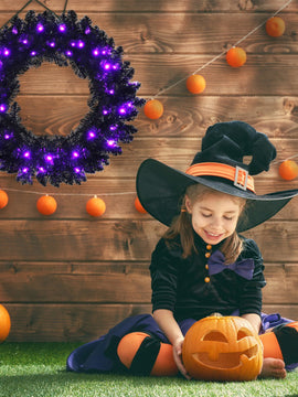 24 Inch Pre-lit Halloween Wreath with 35 Purple LED Lights