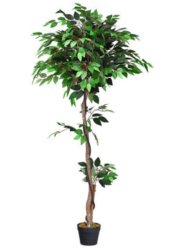 5.5 Feet Artificial Ficus Silk Tree with Wood Trunks
