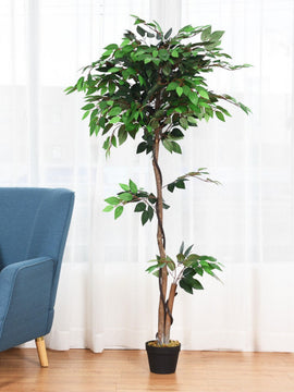 5.5 Feet Artificial Ficus Silk Tree with Wood Trunks
