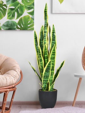 Artificial Snake Plant for Fake Decoration 35.5 Inch Indoor-Outdoor Both