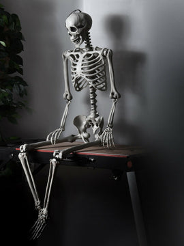5.4 Feet Halloween Skeleton Life Size Realistic Full Body Hanging