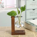 Terrarium Hydroponic Plant Vases Transparent Glass Vintage Flower Pot with Wooden Frame for Home Décor of Bonsai Plants