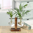 Terrarium Hydroponic Plant Vases Transparent Glass Vintage Flower Pot with Wooden Frame for Home Décor of Bonsai Plants