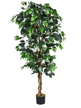 6 Feet Artificial Ficus In/Outdoor Home Tree